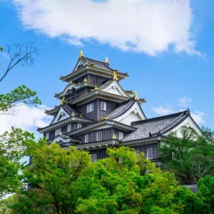 Okoyama Castle