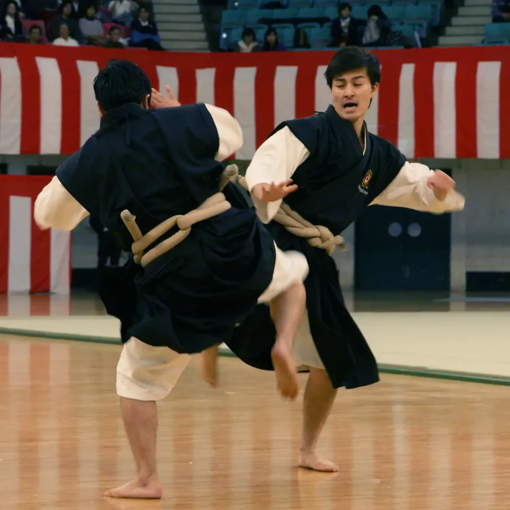 Kampfkunst Shorinji Kempo