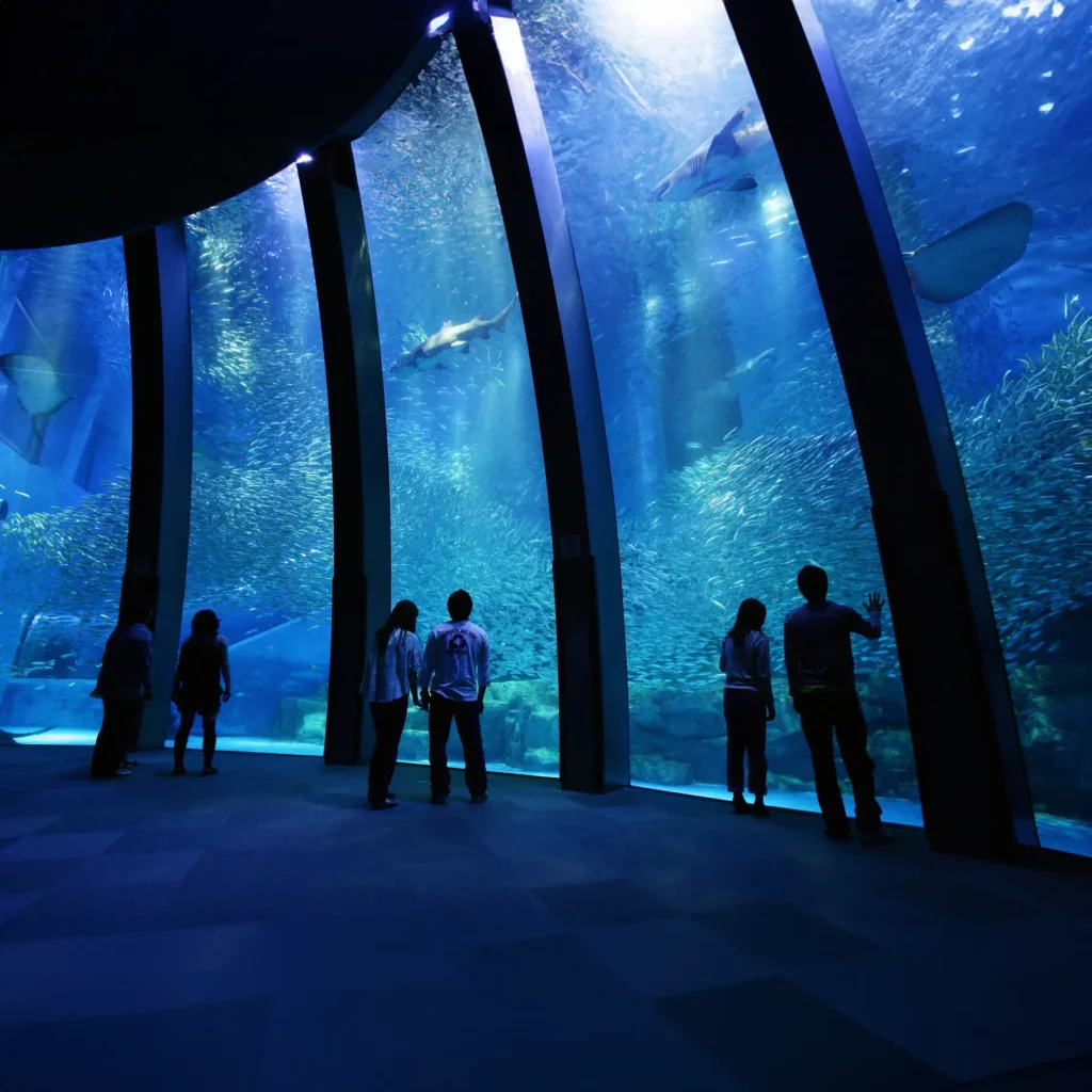Aquarium Hakkeijima Sea Paradise