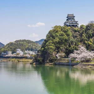 Castillo de Inuyama