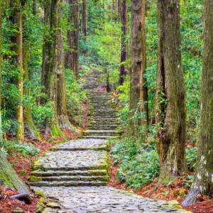 Kumano Kodo Paths
