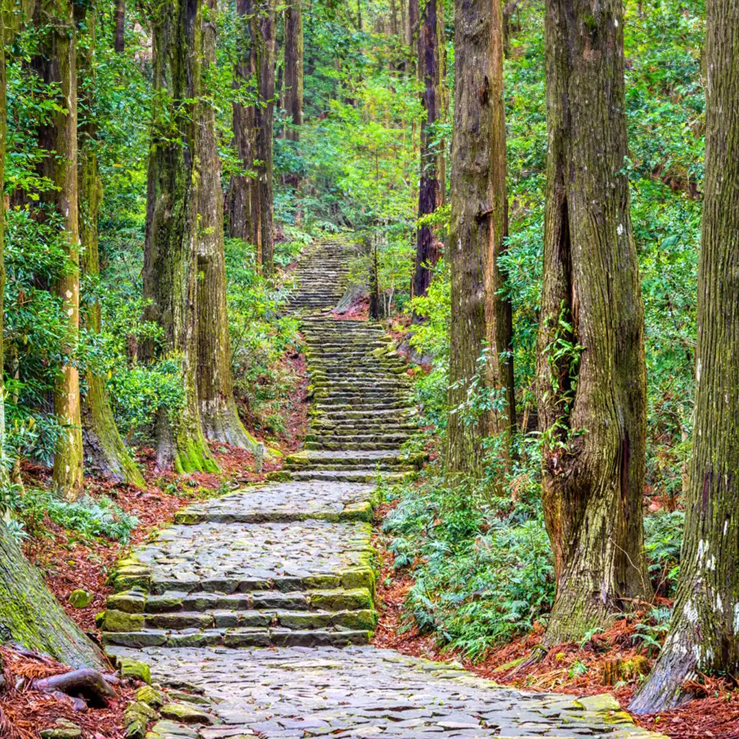 Kumano Kodo Paths