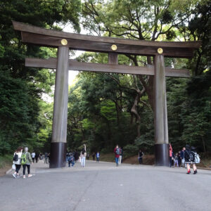 torii all'ingresso del Meiji-jingu