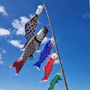 Bunte Koinobori fliegen unter blauem Himmel für Kodomo no Hi