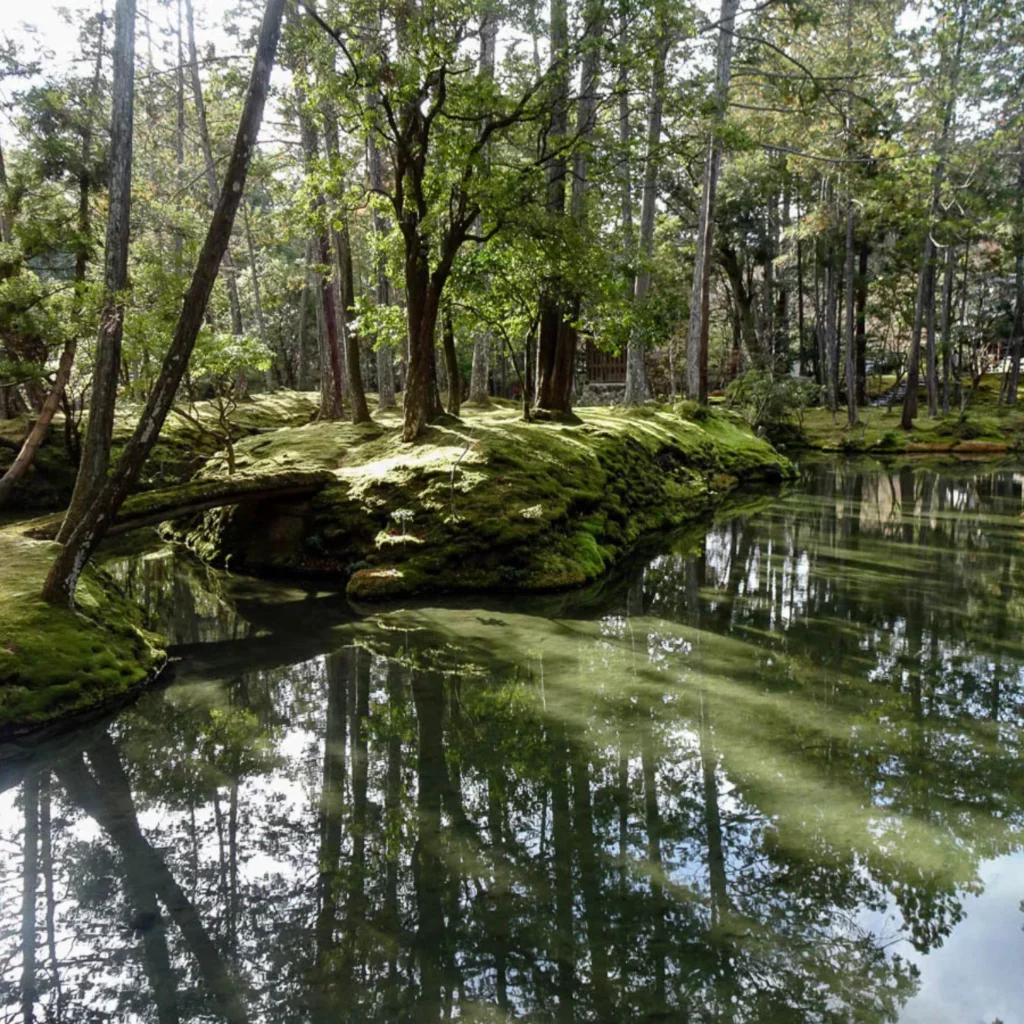 Jardin Kokedera