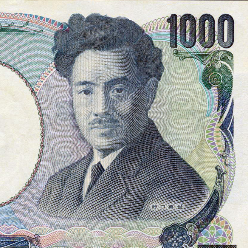 Hideyo Noguchi on the 1000 yen note