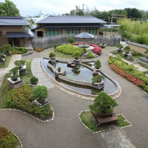 Parque Nacional Omiya Bonsai