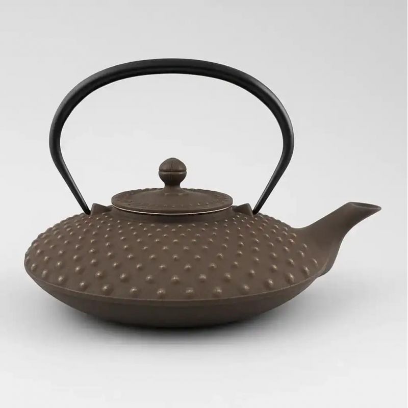 Illustration: Japanese Cast Iron Teapot: Icon of Tradition and Quality — Japanese Culture | ROPPONGI